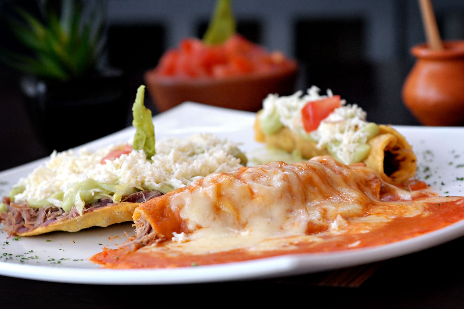 Mouth-watering Mexican enchiladas and tacos garnished with cheese and avocado on a white plate.